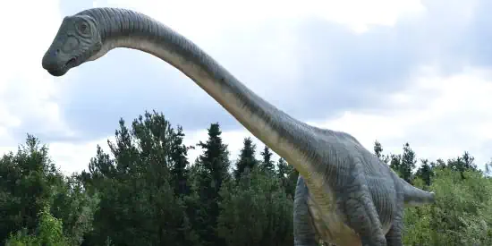 Mottoparty Dinosaurier