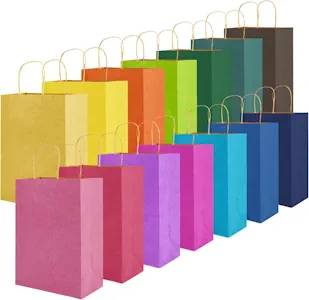 Pupugut 14 Stück Geschenktüten, 16 x 8 x 21cm Kleine Papiertüten, Kraftpapiertüten mit Henkel, Bunt Geschenktaschen für Geburtstag Hochzeit Party Weihnachten Celebration Feiern